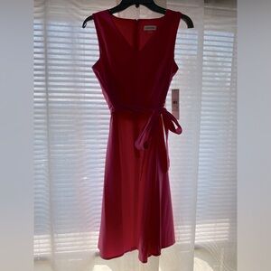 NWT Calvin Klein Pink Dress